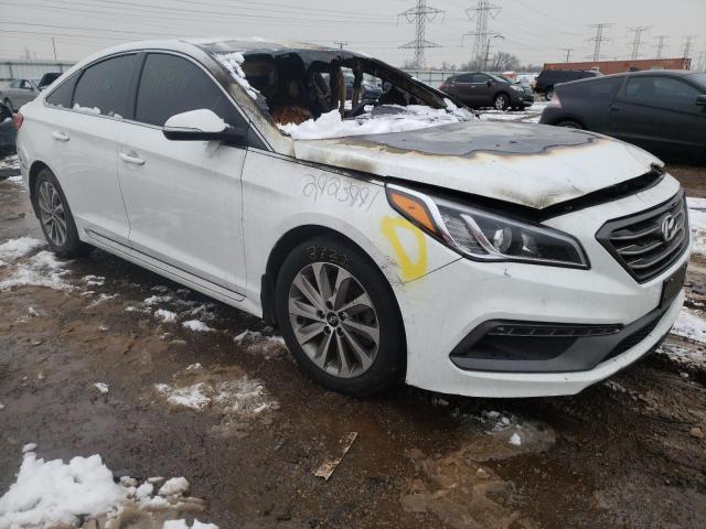 HYUNDAI SONATA SPO 2017 5npe34af5hh439216