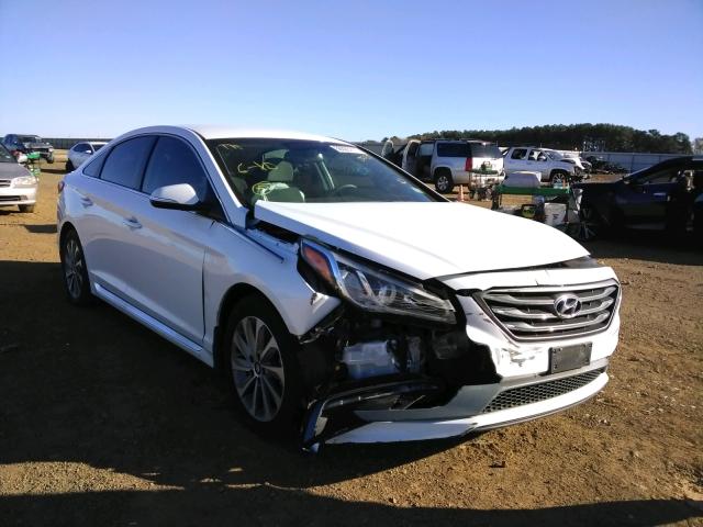 HYUNDAI SONATA SPO 2017 5npe34af5hh460020