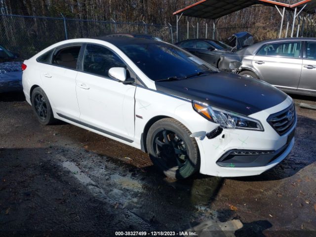 HYUNDAI SONATA SPO 2017 5npe34af5hh481031