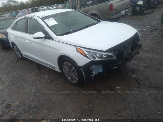 HYUNDAI SONATA 2017 5npe34af5hh541096