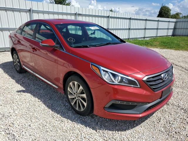 HYUNDAI SONATA SPO 2017 5npe34af5hh545570