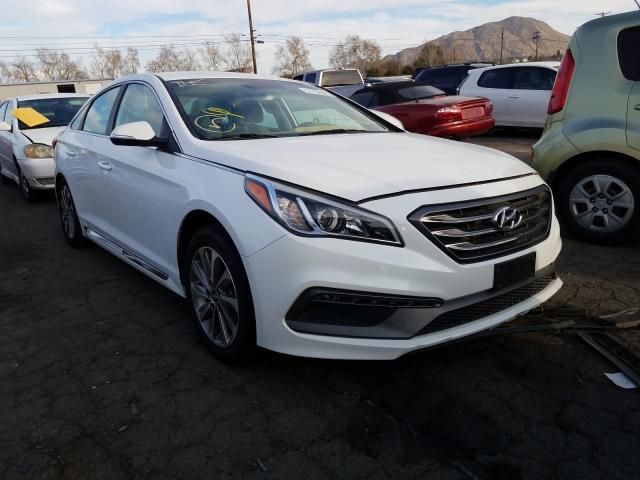 HYUNDAI SONATA SPO 2017 5npe34af5hh550140