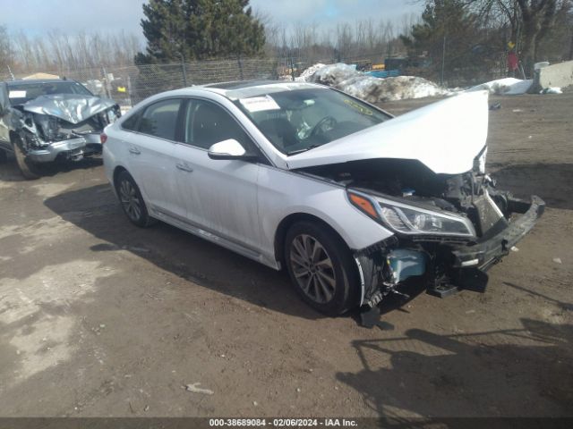 HYUNDAI SONATA 2017 5npe34af5hh594316