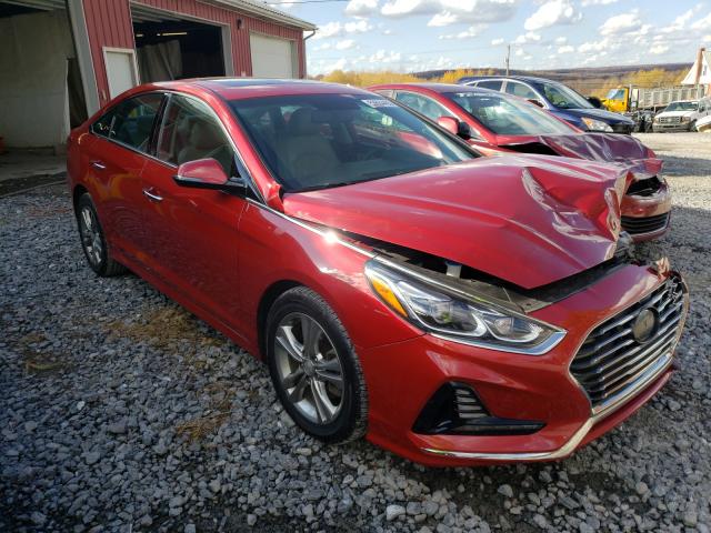 HYUNDAI SONATA SPO 2018 5npe34af5jh606390