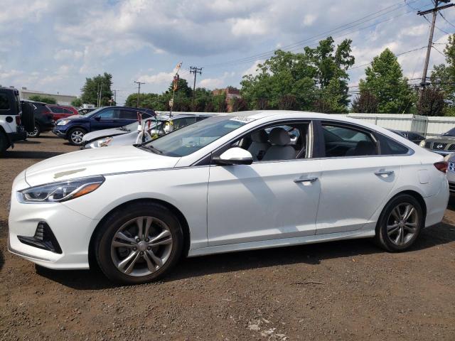 HYUNDAI SONATA SPO 2018 5npe34af5jh621438