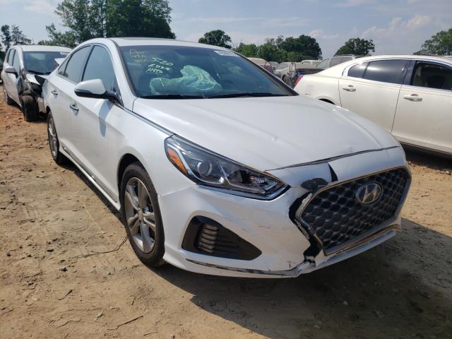 HYUNDAI SONATA SPO 2018 5npe34af5jh635694