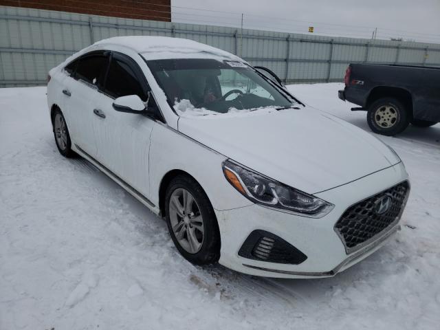 HYUNDAI SONATA 2018 5npe34af5jh647375