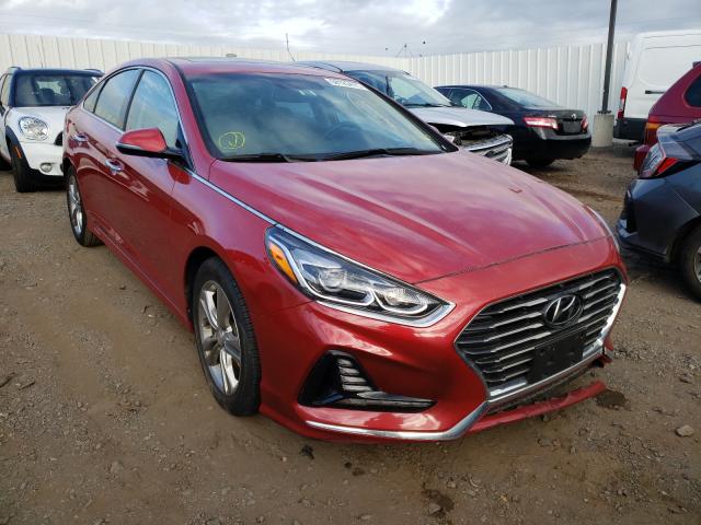 HYUNDAI SONATA SPO 2018 5npe34af5jh665715