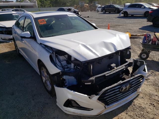 HYUNDAI SONATA SPO 2018 5npe34af5jh668436