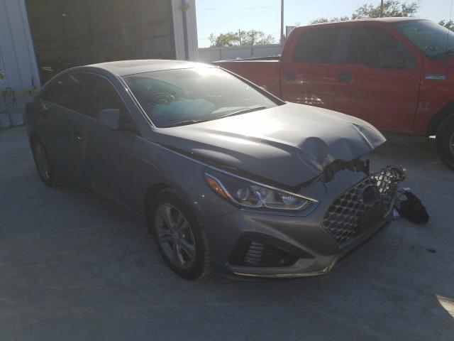 HYUNDAI SONATA SPO 2018 5npe34af5jh674818