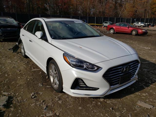 HYUNDAI SONATA SPO 2018 5npe34af5jh674995