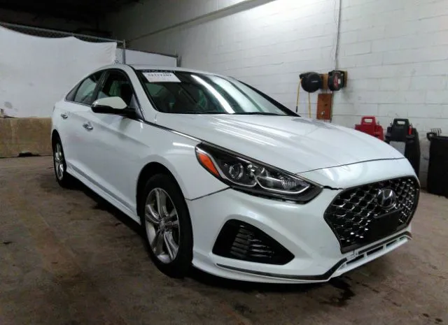 HYUNDAI SONATA 2019 5npe34af5kh734212