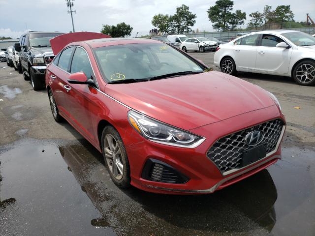 HYUNDAI SONATA LIM 2019 5npe34af5kh734548