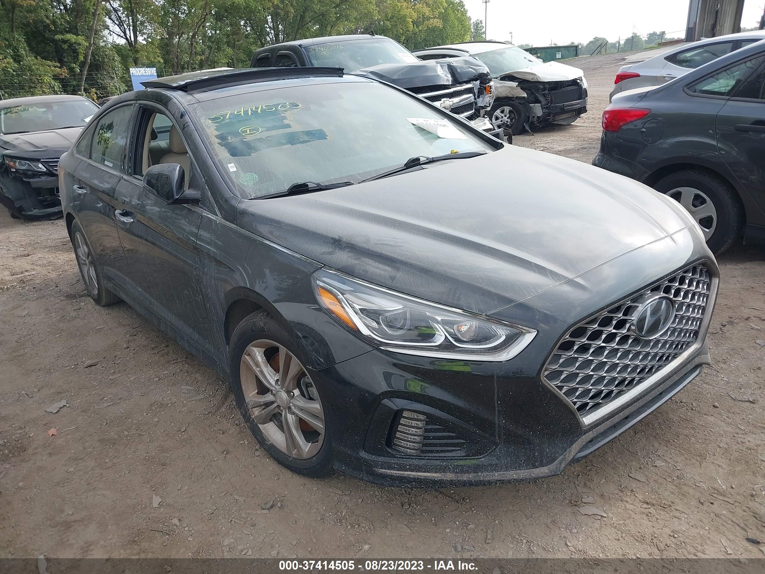 HYUNDAI SONATA 2019 5npe34af5kh735554