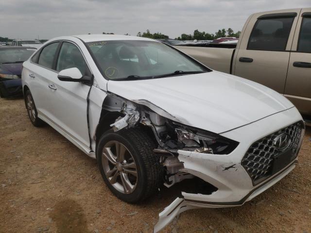 HYUNDAI SONATA LIM 2019 5npe34af5kh812634