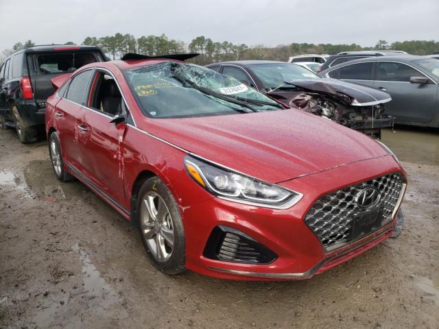 HYUNDAI SONATA LIM 2019 5npe34af5kh813217