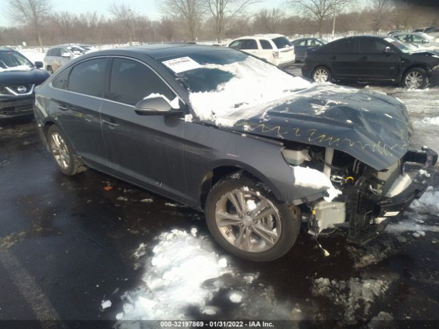 HYUNDAI SONATA 2019 5npe34af5kh815243