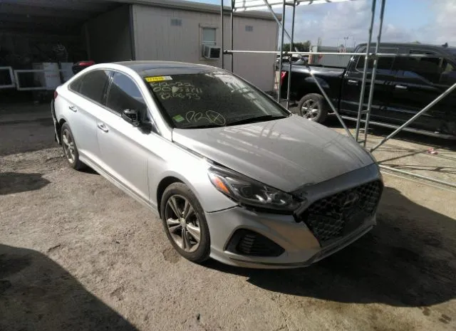 HYUNDAI SONATA 2019 5npe34af5kh820653