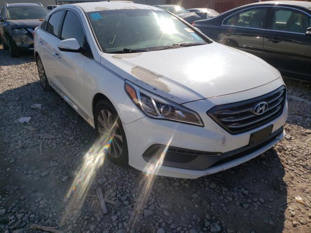 HYUNDAI SONATA SPO 2015 5npe34af6fh062389