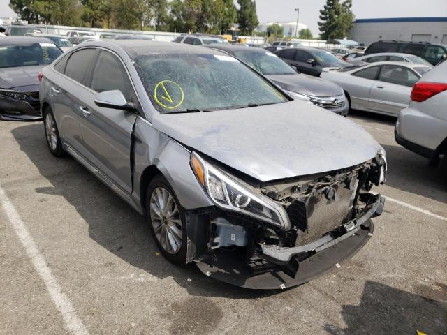 HYUNDAI SONATA SPO 2015 5npe34af6fh063803