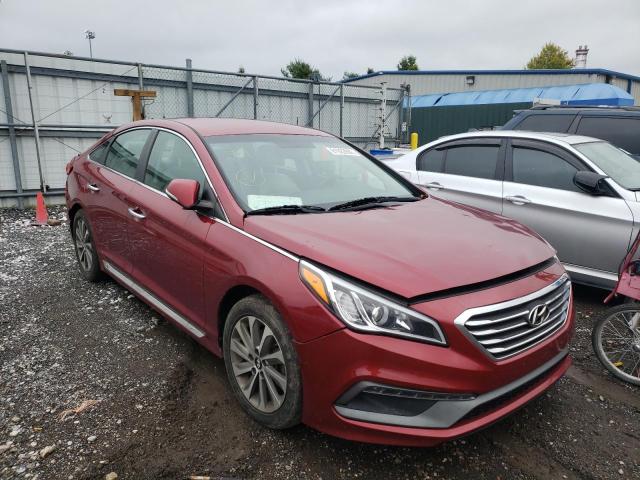 HYUNDAI SONATA SPO 2015 5npe34af6fh096526