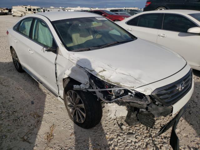 HYUNDAI SONATA SPO 2015 5npe34af6fh097711