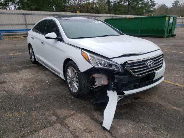 HYUNDAI SONATA SPO 2015 5npe34af6fh105242