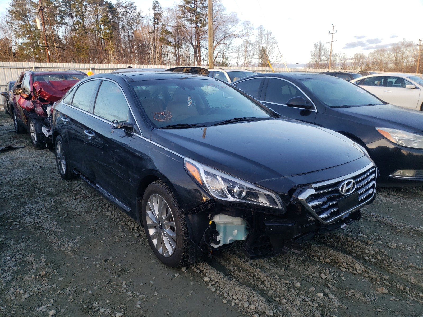 HYUNDAI SONATA SPO 2015 5npe34af6fh127919