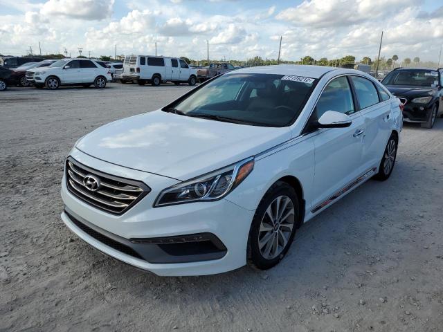 HYUNDAI SONATA SPO 2015 5npe34af6fh163576