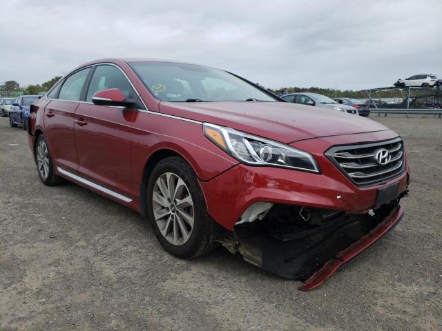 HYUNDAI SONATA SPO 2015 5npe34af6fh223100