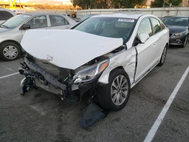 HYUNDAI SONATA SPO 2016 5npe34af6gh262691