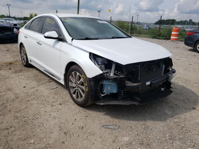 HYUNDAI SONATA SPO 2016 5npe34af6gh267602