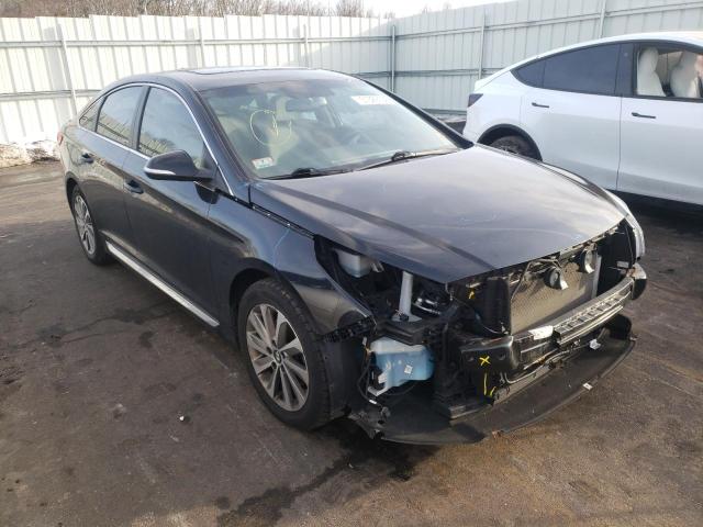 HYUNDAI SONATA SPO 2016 5npe34af6gh287106