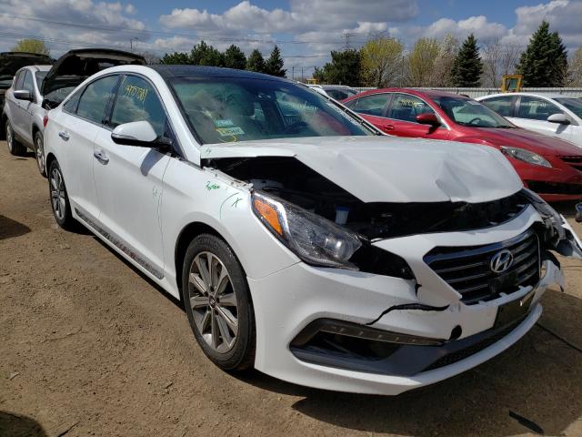 HYUNDAI SONATA SPO 2016 5npe34af6gh291155