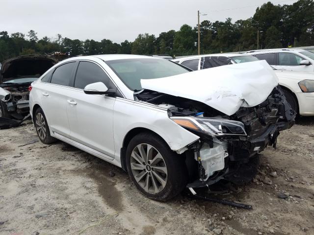 HYUNDAI SONATA SPO 2016 5npe34af6gh312960