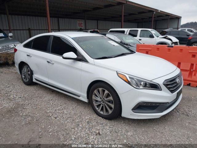 HYUNDAI SONATA 2016 5npe34af6gh315518