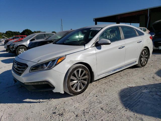 HYUNDAI SONATA SPO 2016 5npe34af6gh315812