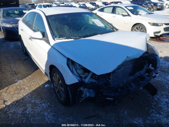 HYUNDAI SONATA 2016 5npe34af6gh321030