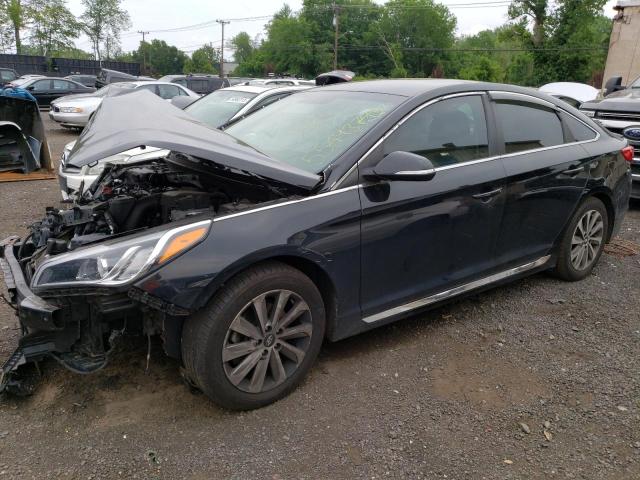 HYUNDAI SONATA SPO 2016 5npe34af6gh330388