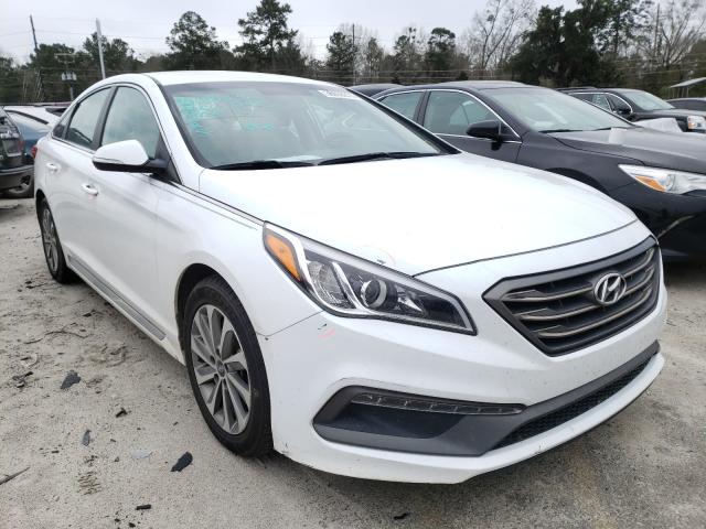 HYUNDAI SONATA SPO 2016 5npe34af6gh348101