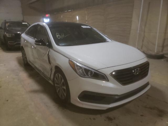 HYUNDAI SONATA SPO 2016 5npe34af6gh349121