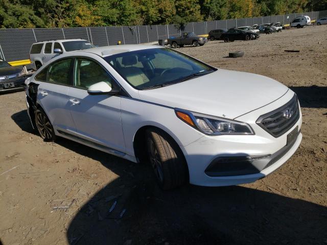 HYUNDAI SONATA SPO 2016 5npe34af6gh353282