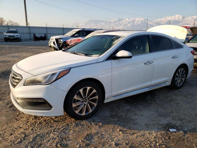 HYUNDAI SONATA SPO 2016 5npe34af6gh355341