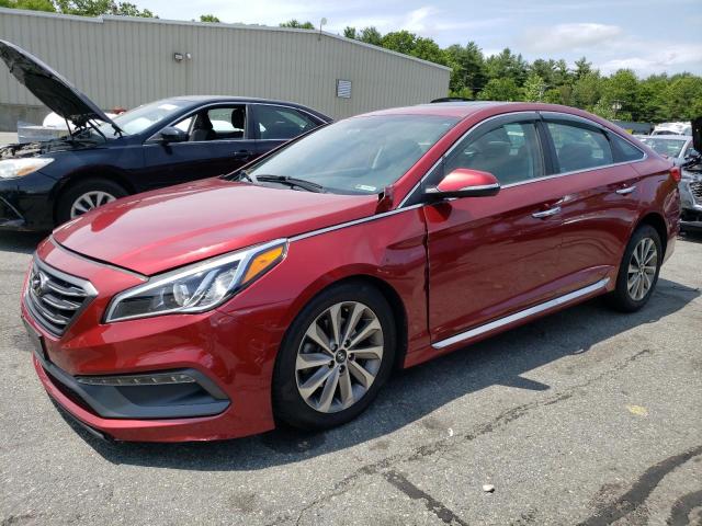 HYUNDAI SONATA SPO 2016 5npe34af6gh365545