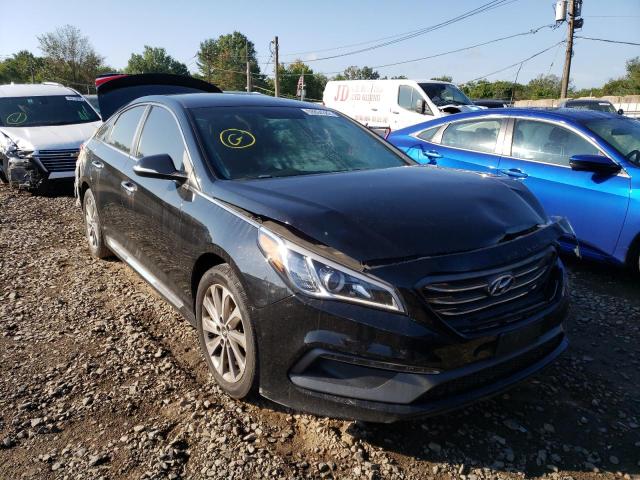 HYUNDAI SONATA SPO 2016 5npe34af6gh380563