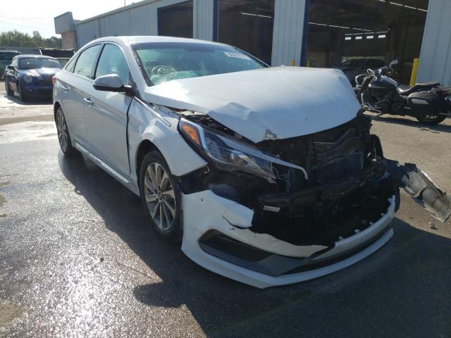 HYUNDAI SONATA SPO 2016 5npe34af6gh400441