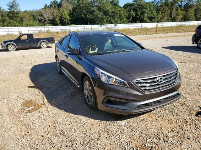 HYUNDAI SONATA SPO 2016 5npe34af6gh414565