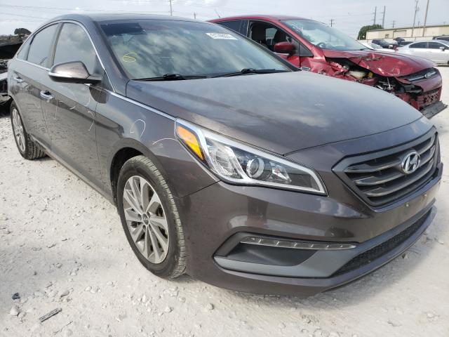 HYUNDAI SONATA SPO 2016 5npe34af6gh414582