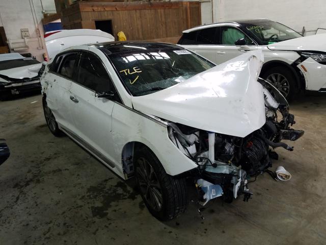 HYUNDAI SONATA SPO 2016 5npe34af6gh421452