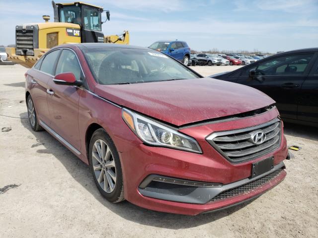 HYUNDAI SONATA SPO 2016 5npe34af6gh423461